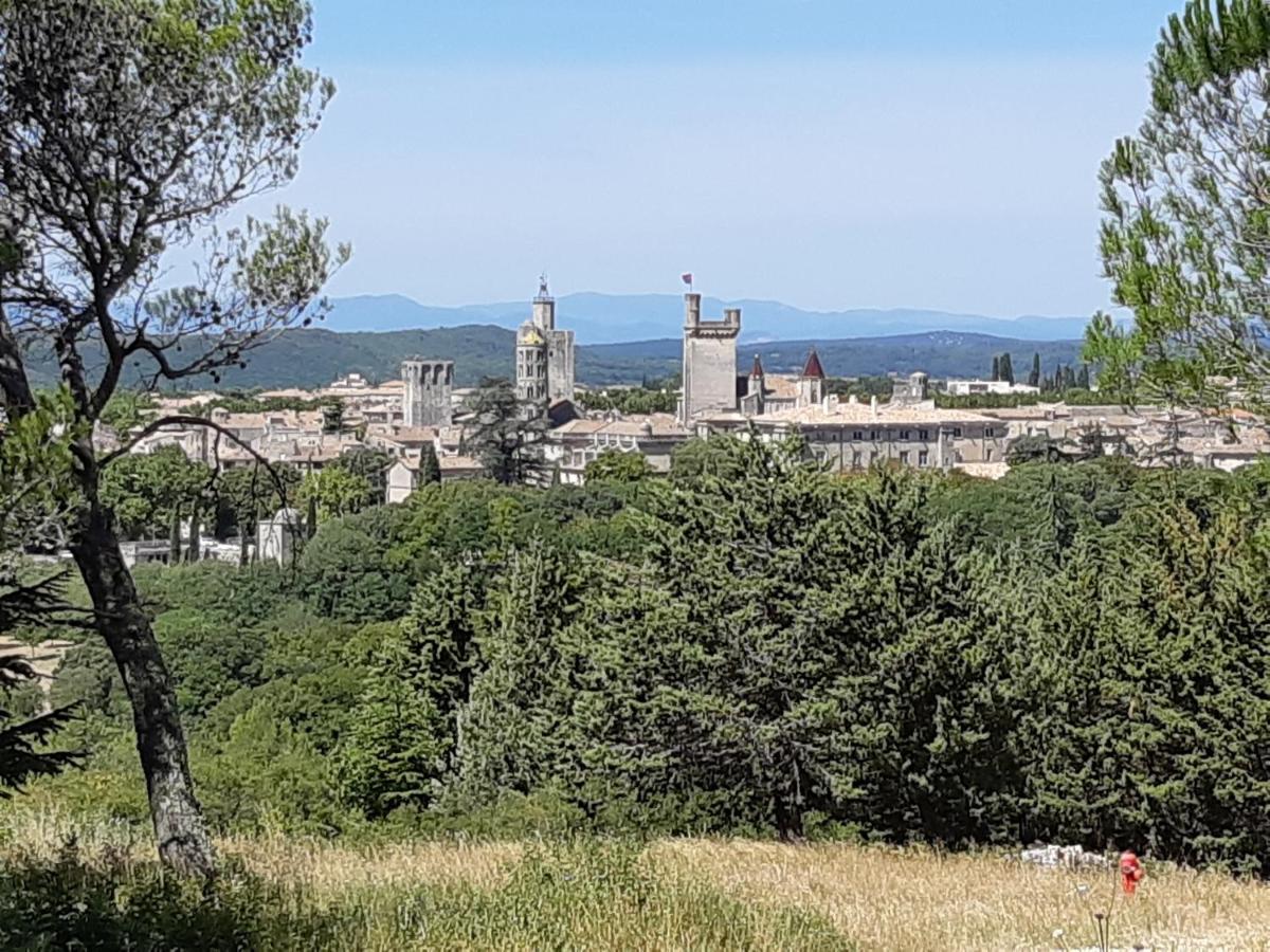 Le Mas De Tiomka Saint-Maximin  Exteriér fotografie