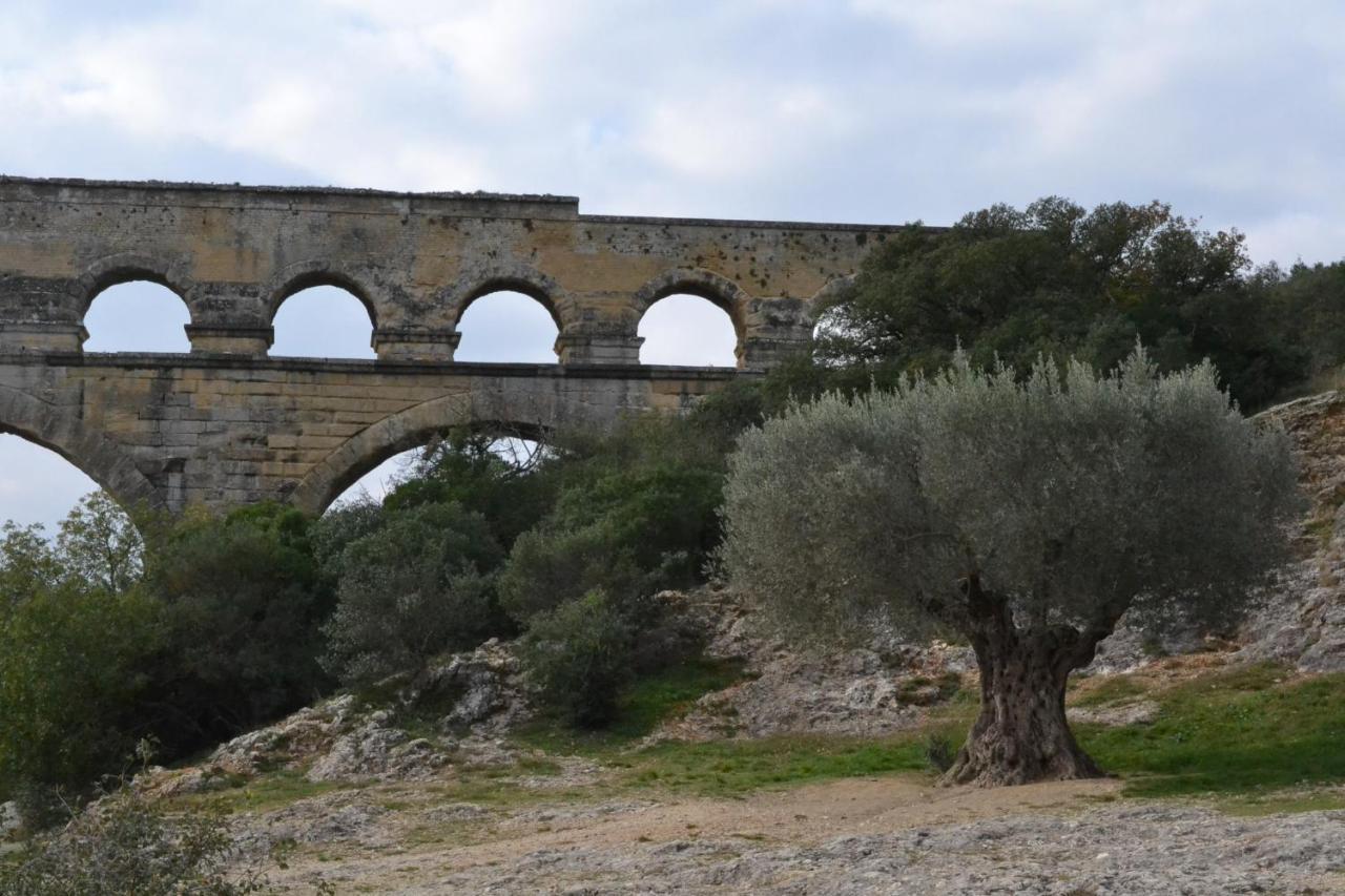 Le Mas De Tiomka Saint-Maximin  Exteriér fotografie
