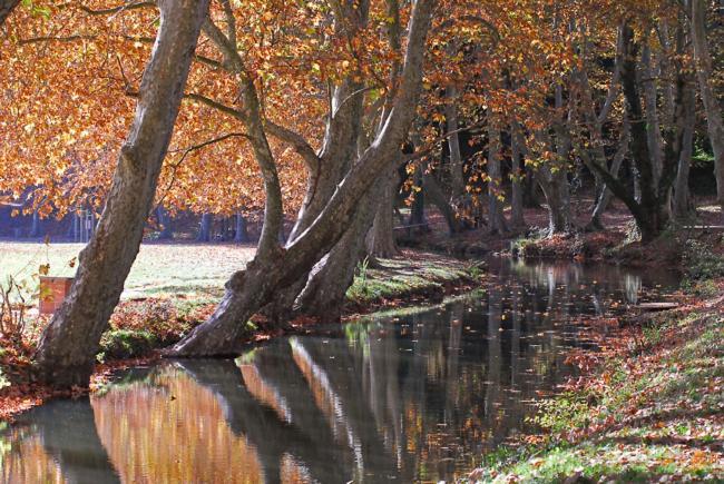 Le Mas De Tiomka Saint-Maximin  Exteriér fotografie